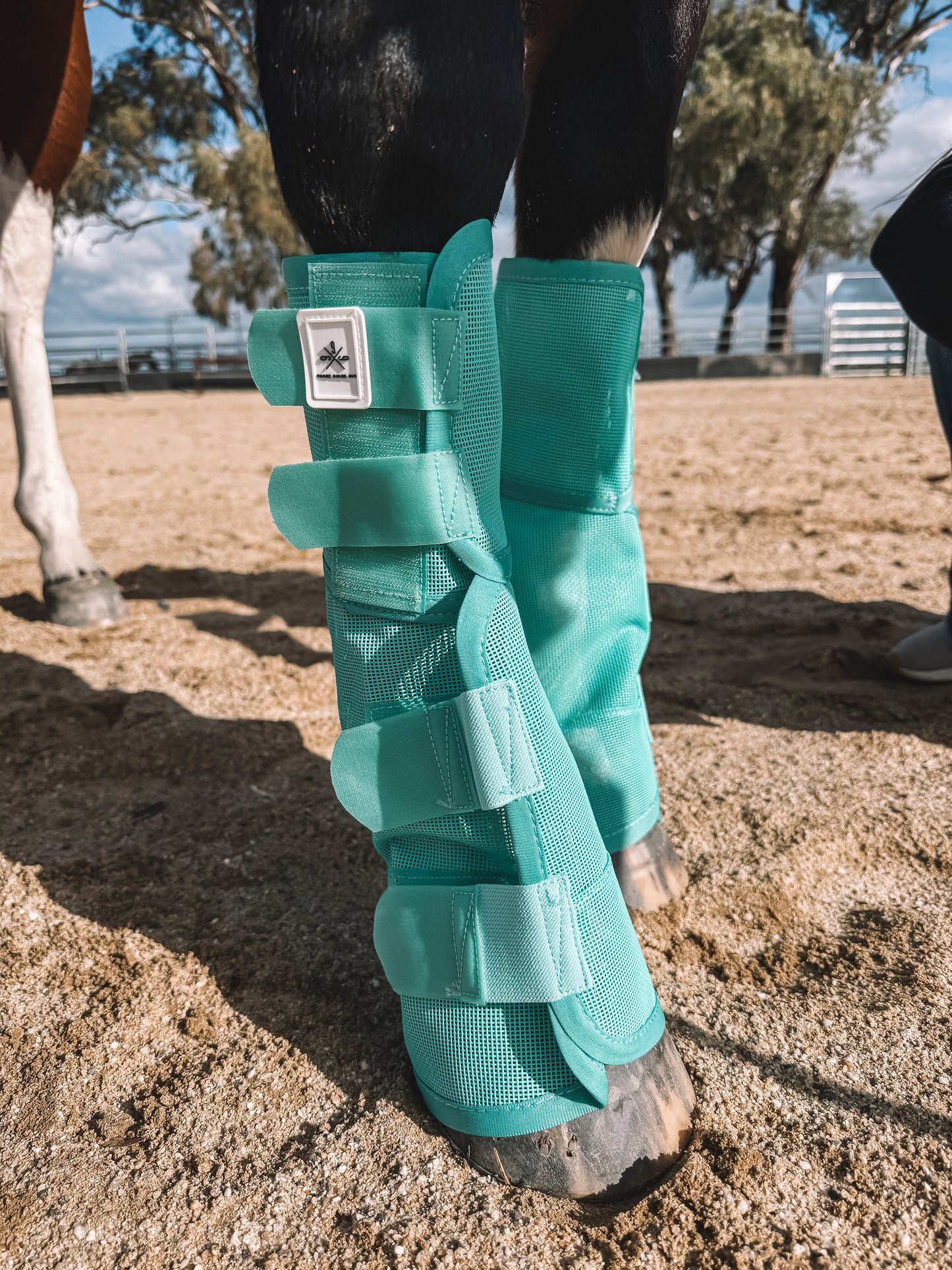 Three Nines inc. Equine fly boots - pack of 4
