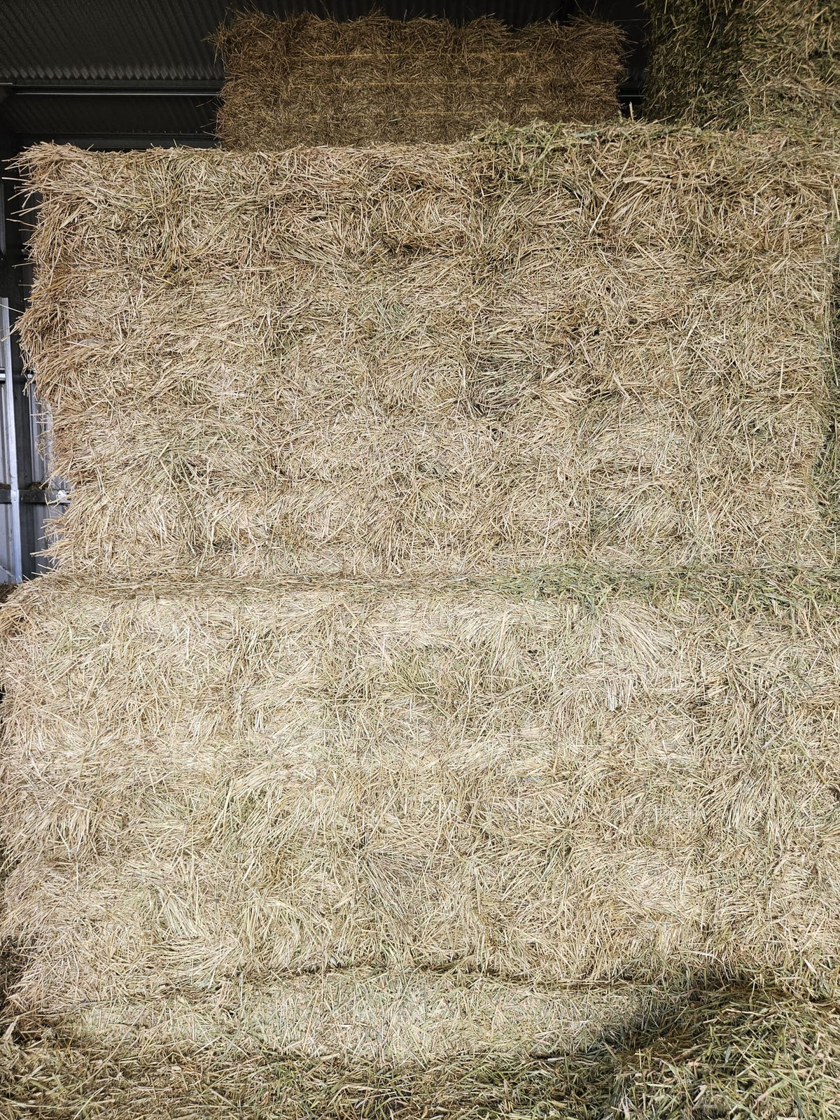 Pasture horse hay. Bale baron packs (21 small bales)