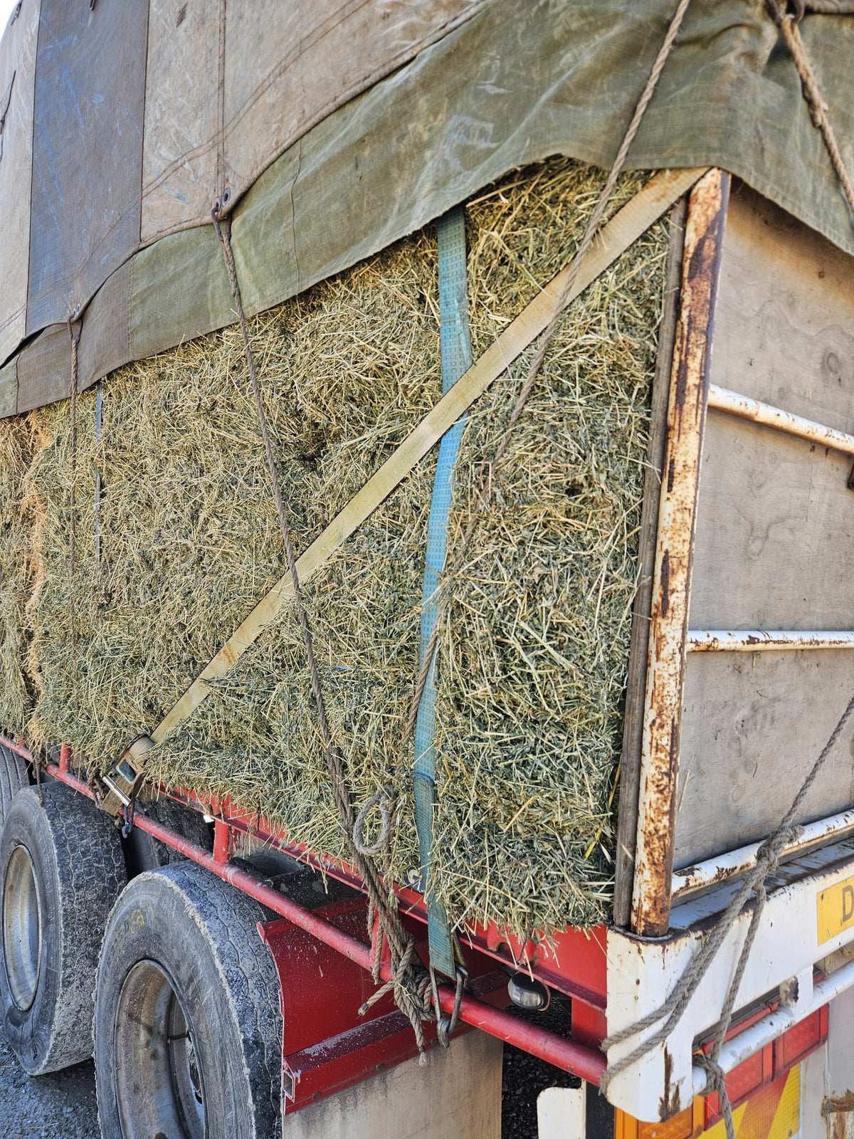Lucerne hay- Bale Baron packs (21 small bales)