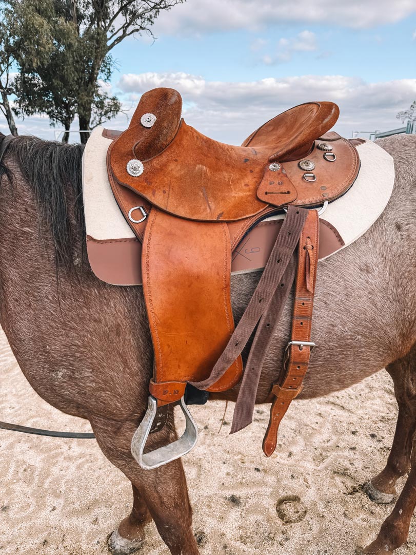 Saddle pad's. Round and Square cut