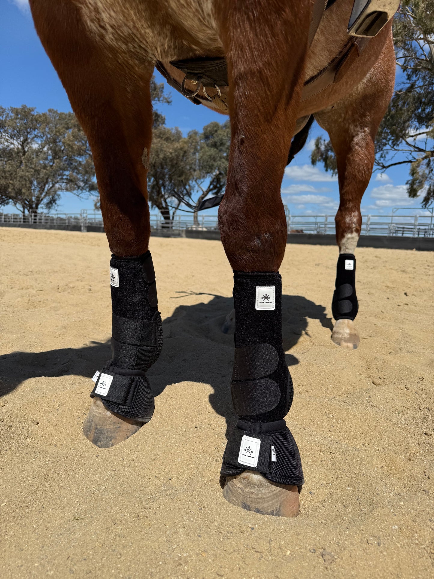 Equine sport bell boots