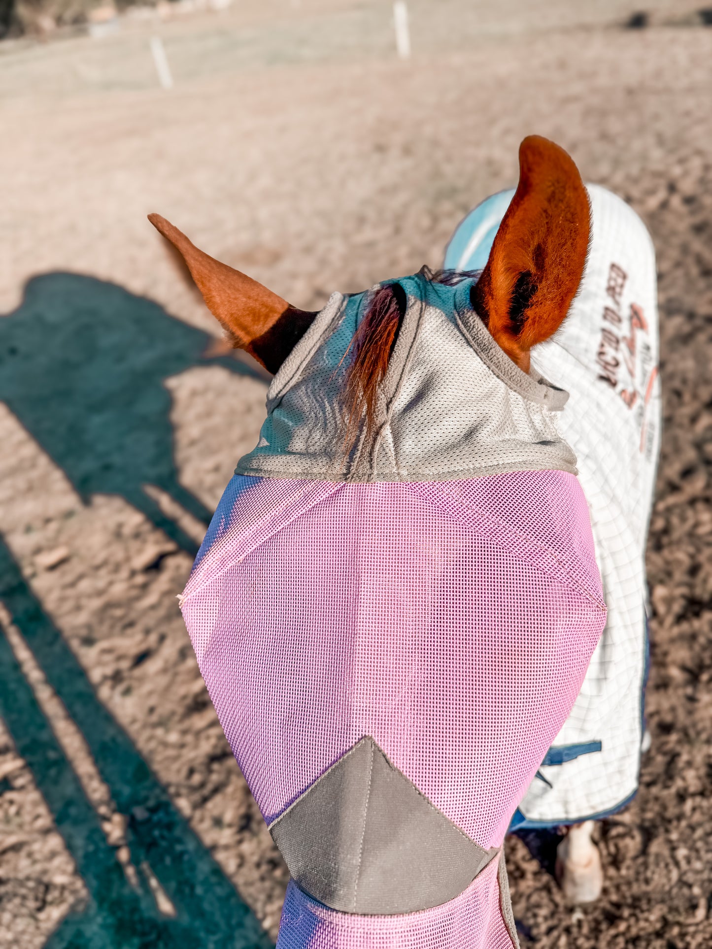 Three Nines inc. 'Stay on' Equine fly masks