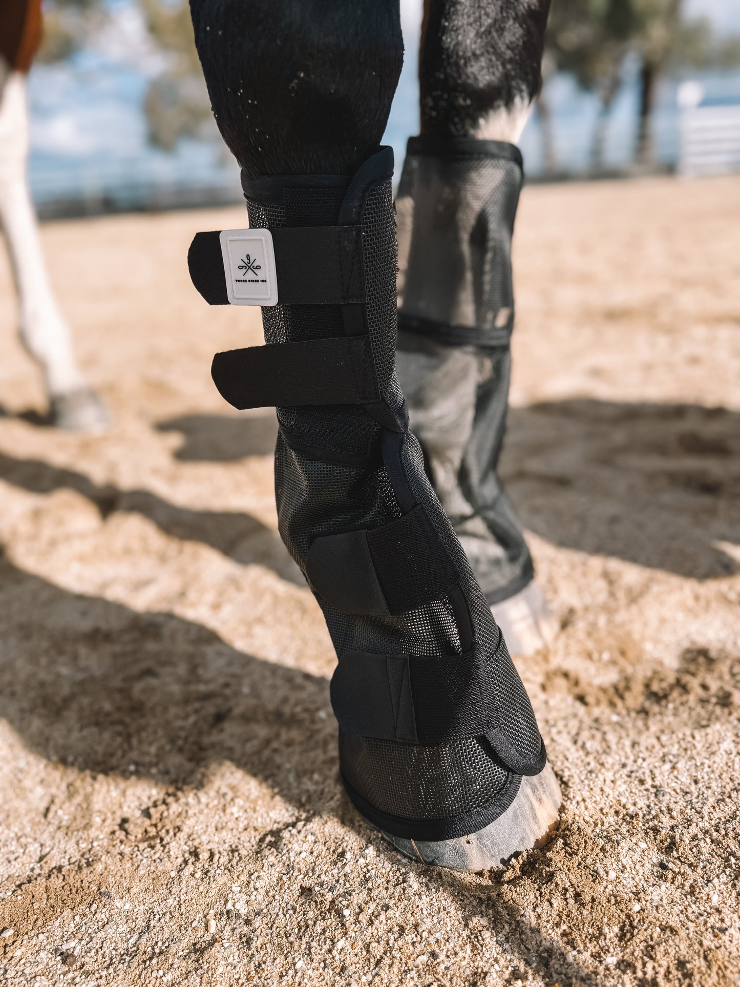 Three Nines inc. Equine fly boots - pack of 4