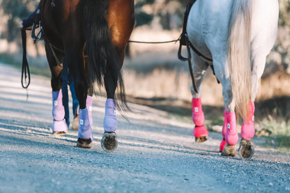 Equine sport boot- Hinds