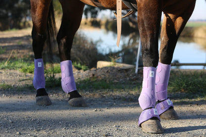 Equine sport boot- Fronts