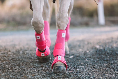 Equine sport boot- Hinds