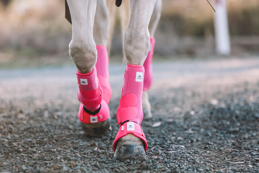 PRESALE Equine sport boot- Fronts