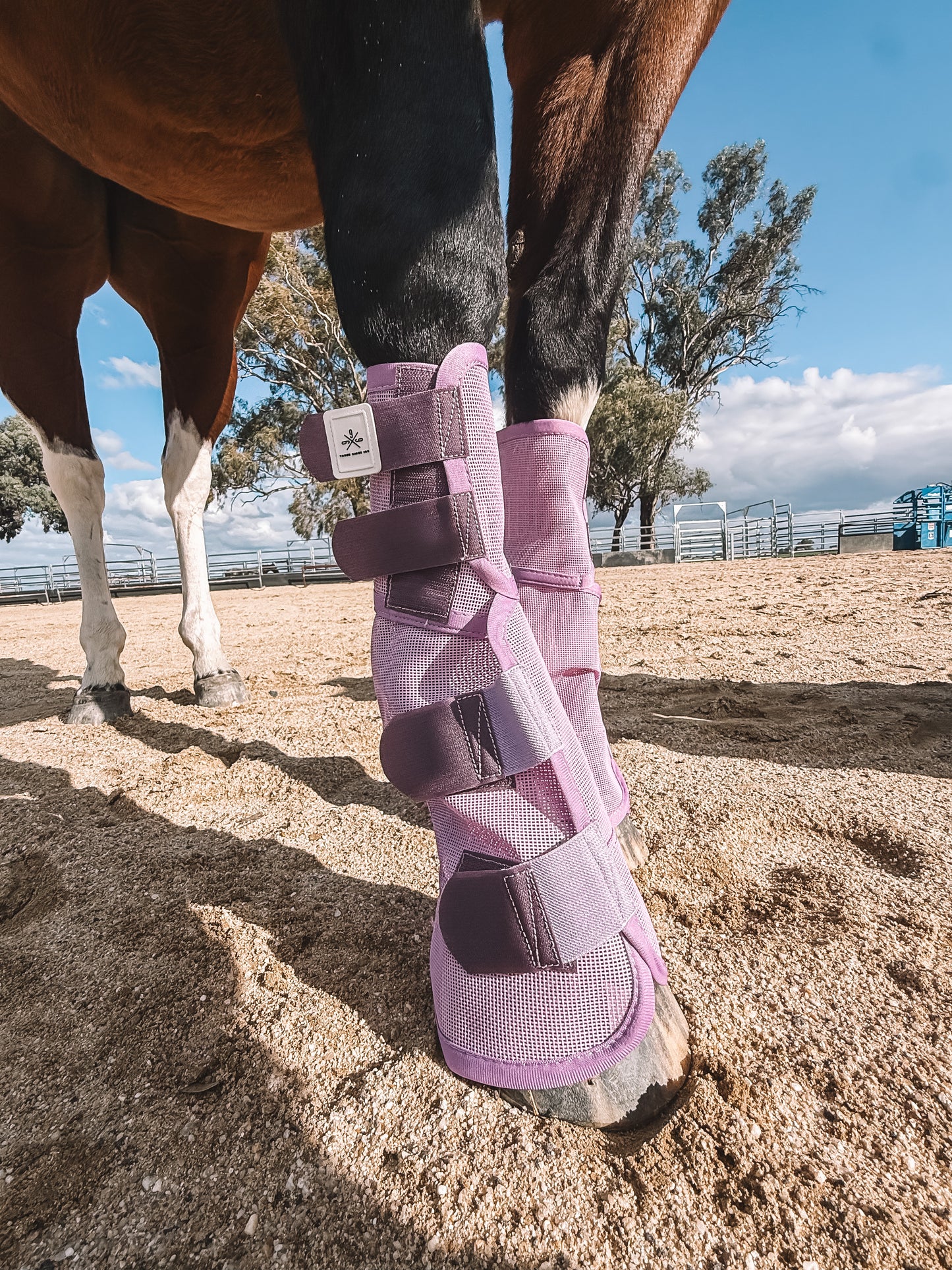 Three Nines inc. Equine fly boots - pack of 4