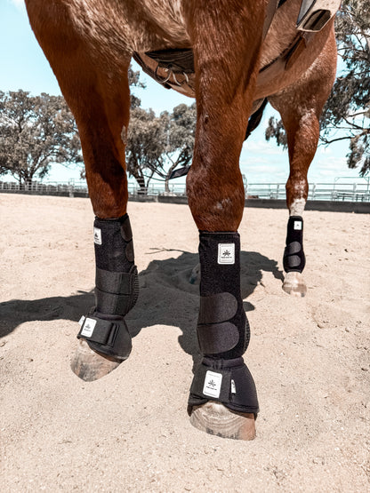 Equine sport boot- Hinds
