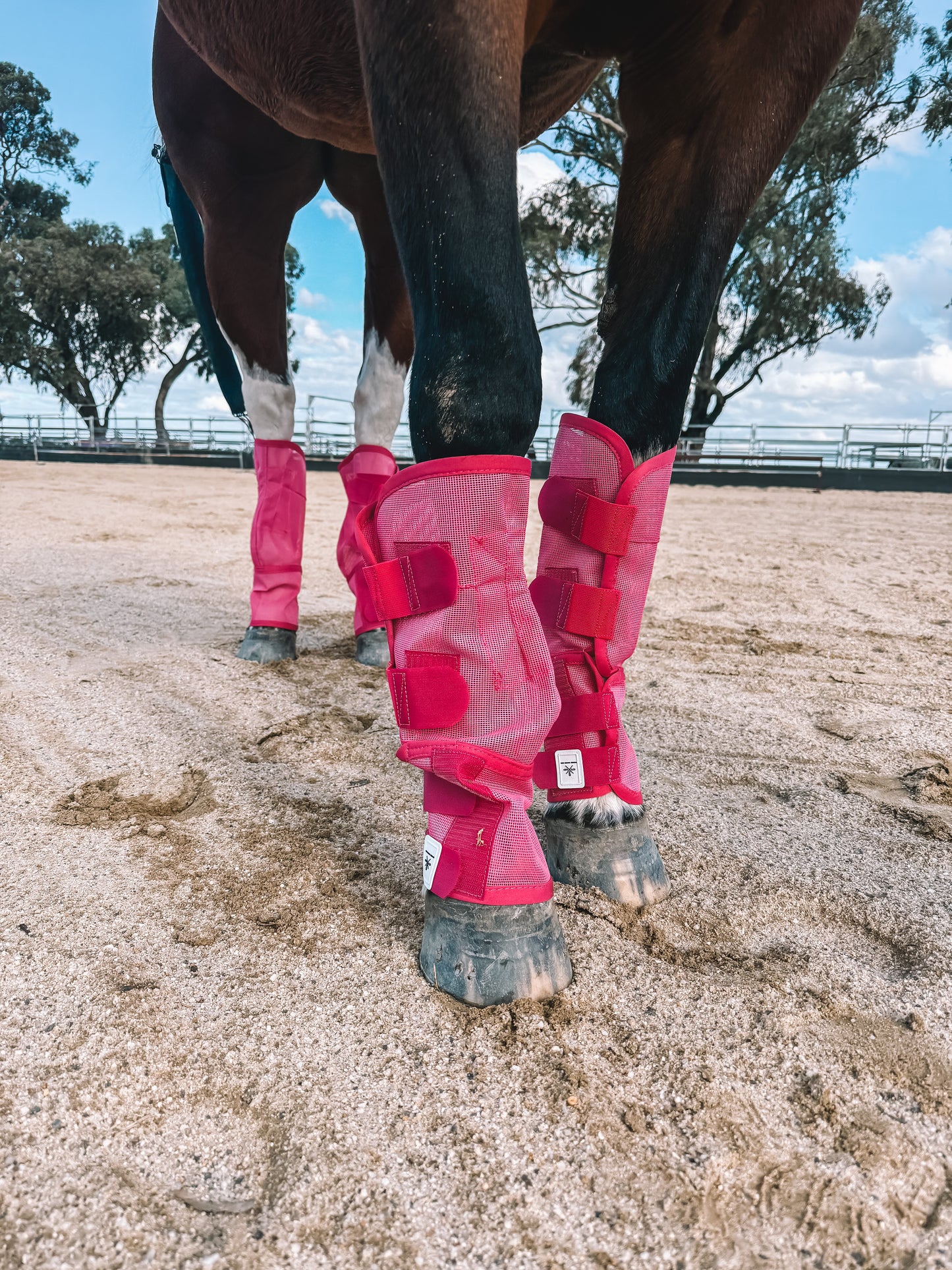 Three Nines inc. Equine fly boots - pack of 4