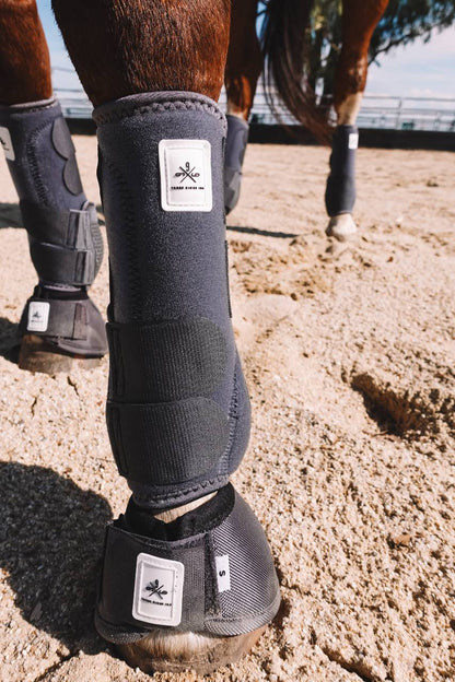 Equine sport boot- Fronts