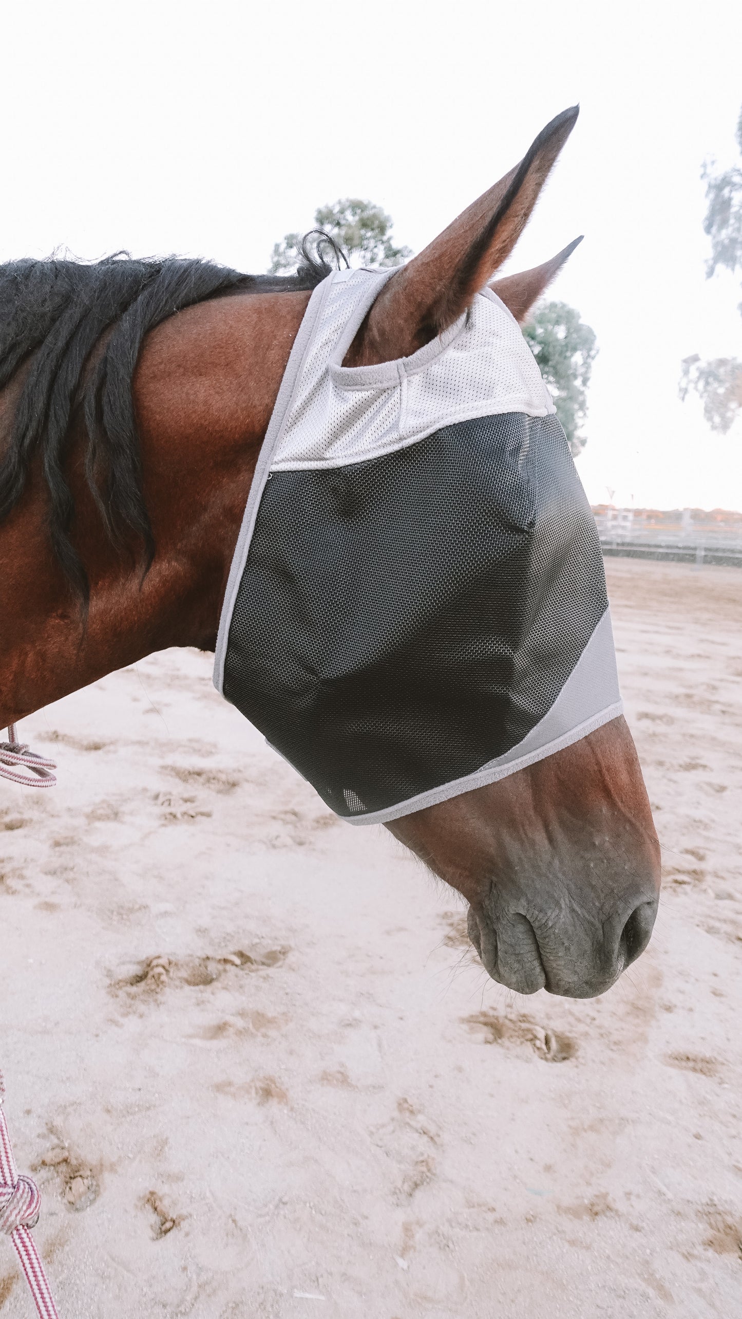 Three Nines inc. 'Stay on' Equine fly masks