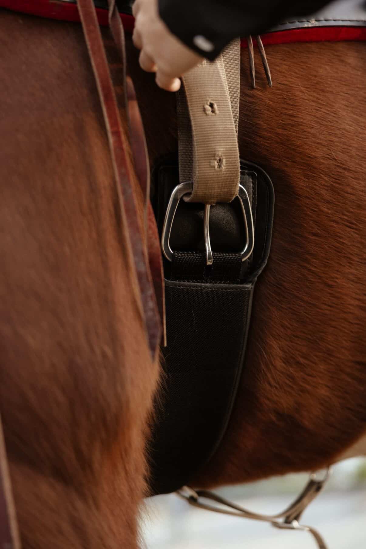 Western Horse Girth - Straight and Roper, Fleece and Neoprene
