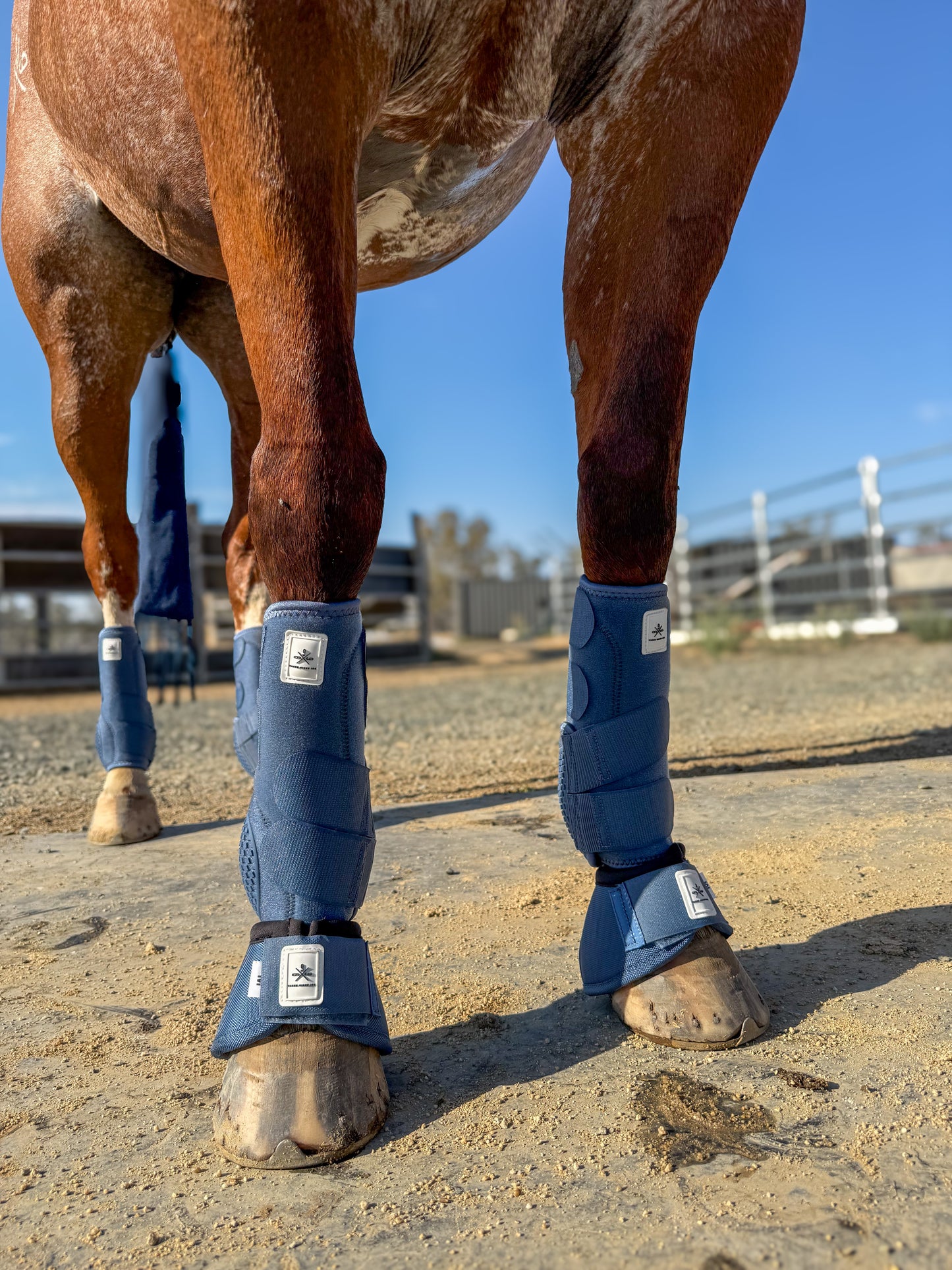 Equine sport bell boots