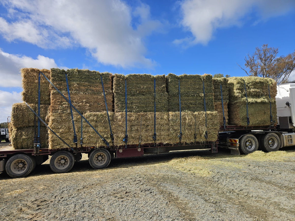 Lucerne hay- Bale Baron packs (21 small bales)