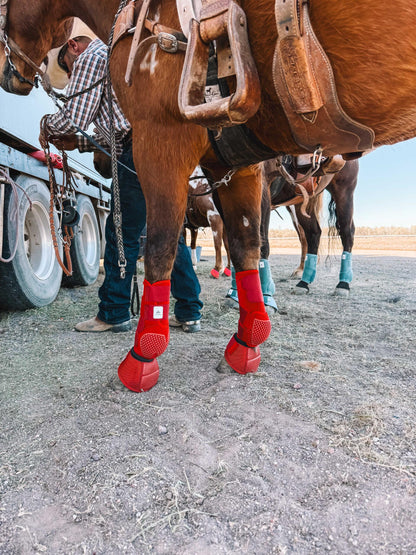 Equine sport boot- Fronts