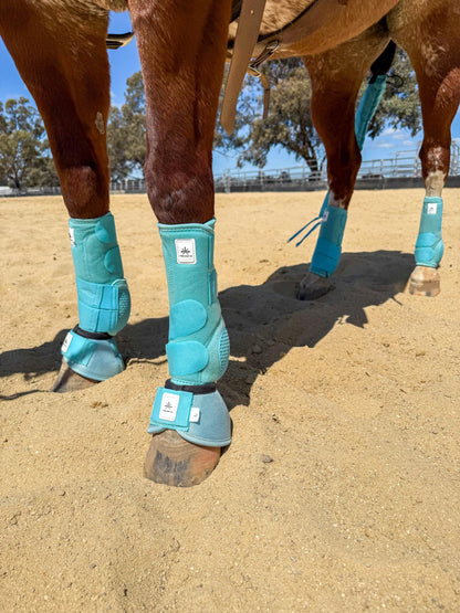 Equine sport boot- Hinds