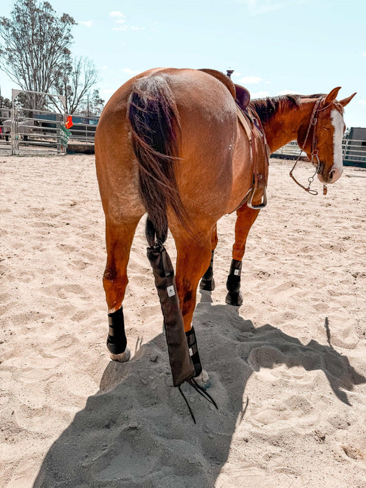Equine sport boot- Hinds