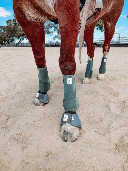 Equine sport boot- Hinds