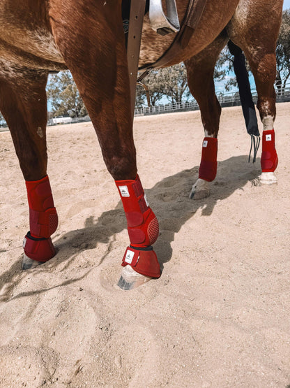 Equine sport boot- Hinds