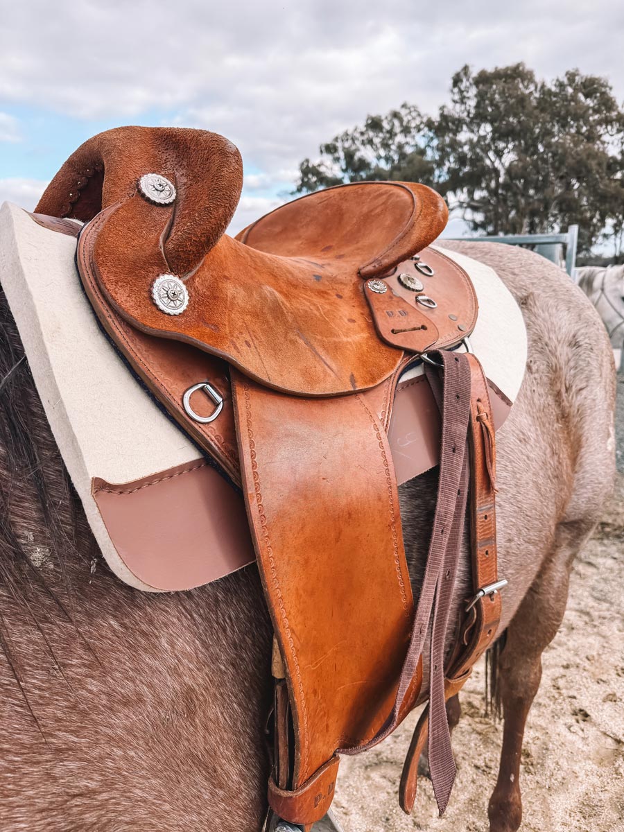 Saddle pad's. Round and Square cut