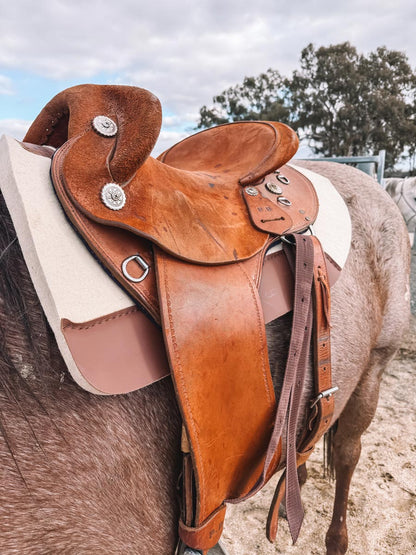 Saddle pad's. Round and Square cut