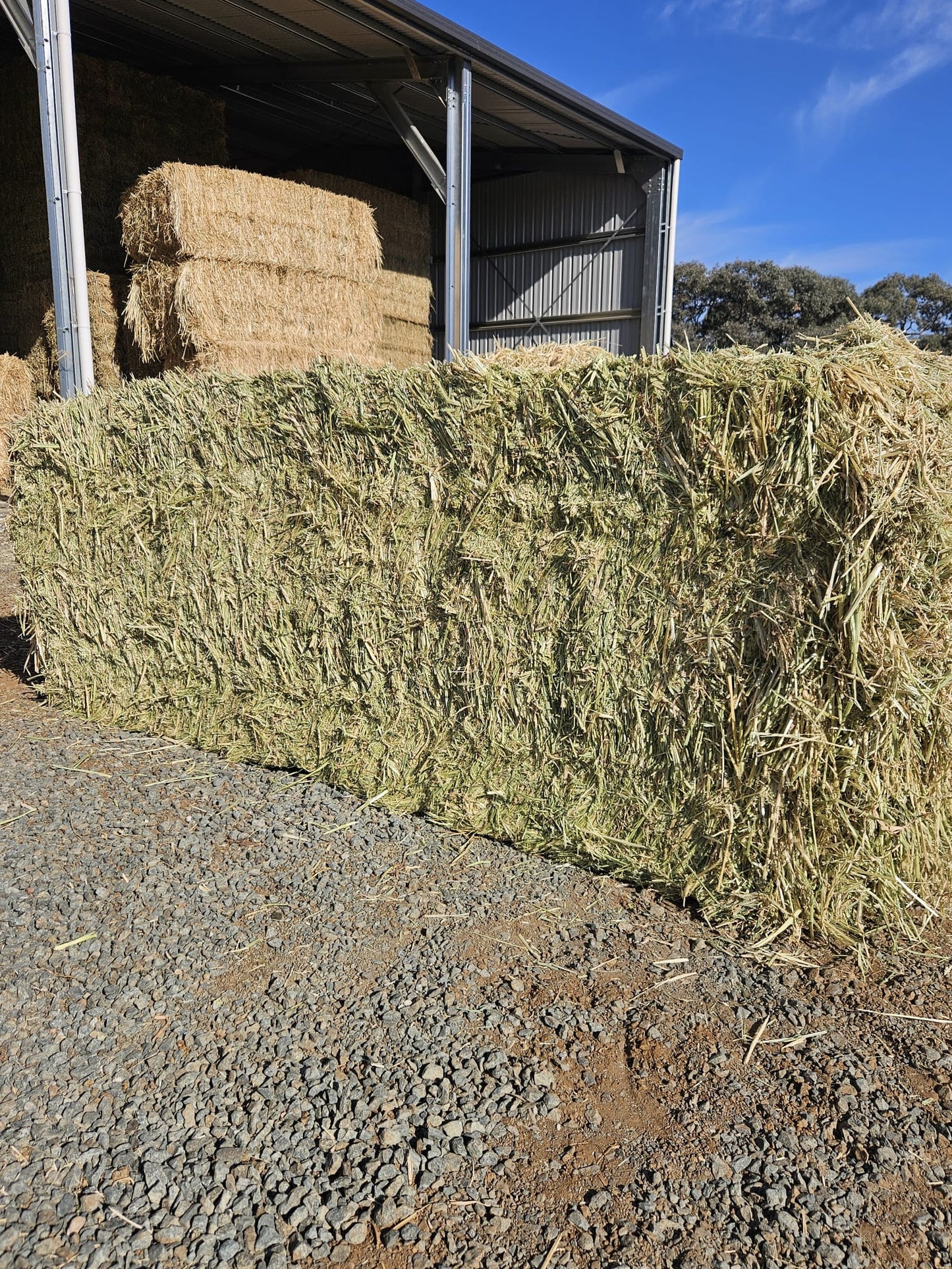 LARGE premium oaten hay bales