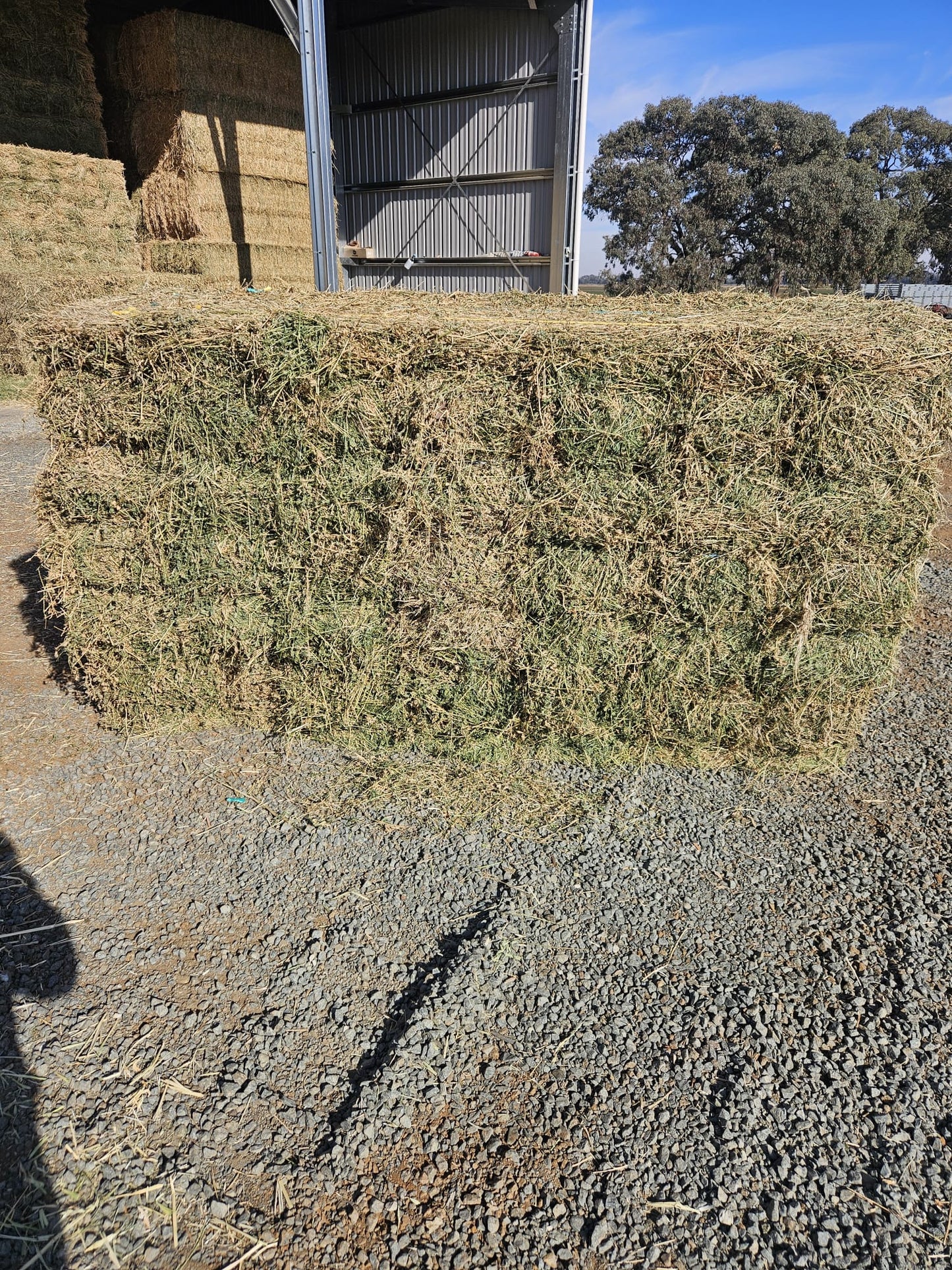 Lucerne hay- Bale Baron packs (21 small bales)